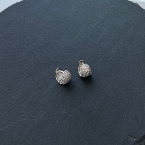 925 Silver Earrings