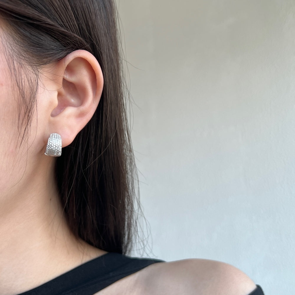 925 Silver Earrings