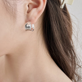 925 Silver Earrings